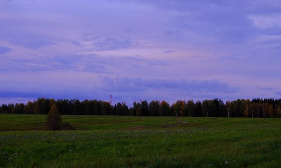 a grassy field with trees in the background